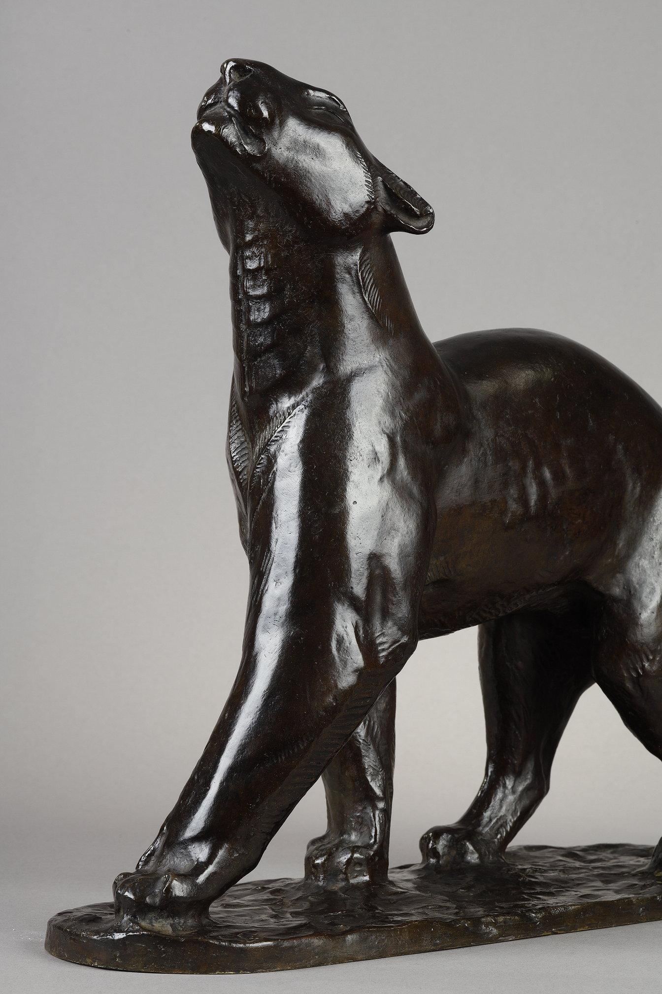Panther sniffing
by Georges GUYOT (1885-1972)

Rare sculpture in bronze with a nuanced dark brown patina
Signed on the base 