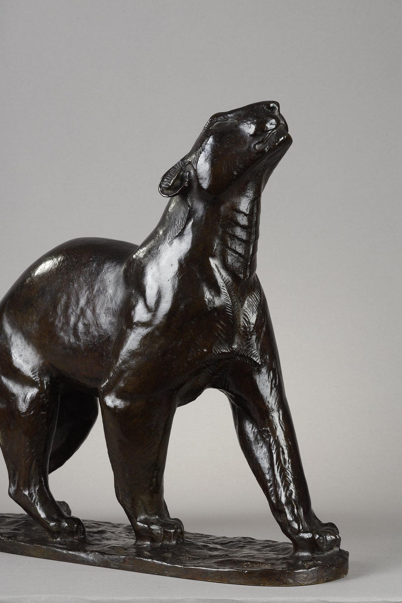 Panther sniffing For Sale 2