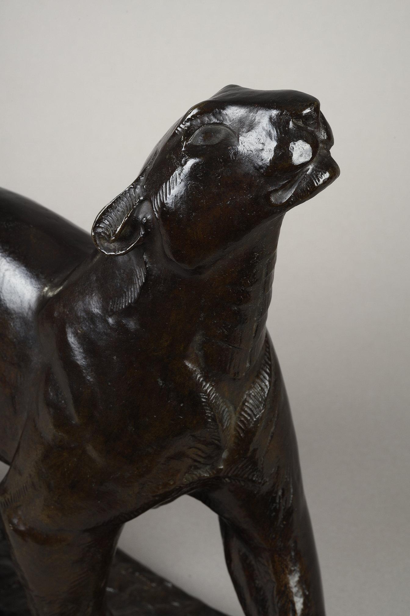 Panther sniffing For Sale 3