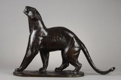Panther schnüffeln