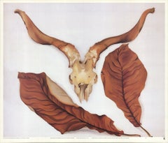 1989 Georgia O'Keeffe 'Ram's Skull with Brown Leaves' Modernism USA Offset 
