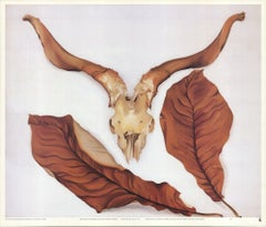 1989 Georgia O'Keeffe 'Crâne de bélier avec feuilles brunes' Modernisme USA Offset