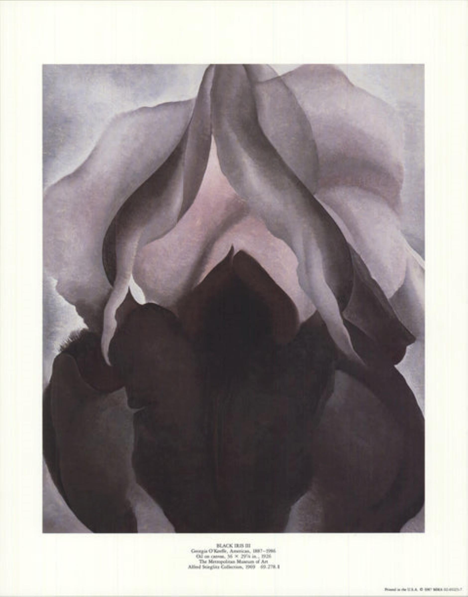 Black Iris III 

By Georgia O'Keeffe

1987

Medium: Offset Lithograph

Paper Size: 14 x 11 inches ( 36 x 28 cm )

Image Size: 11 x 9 inches ( 28 x 23 cm )

Edition Size: Unknown