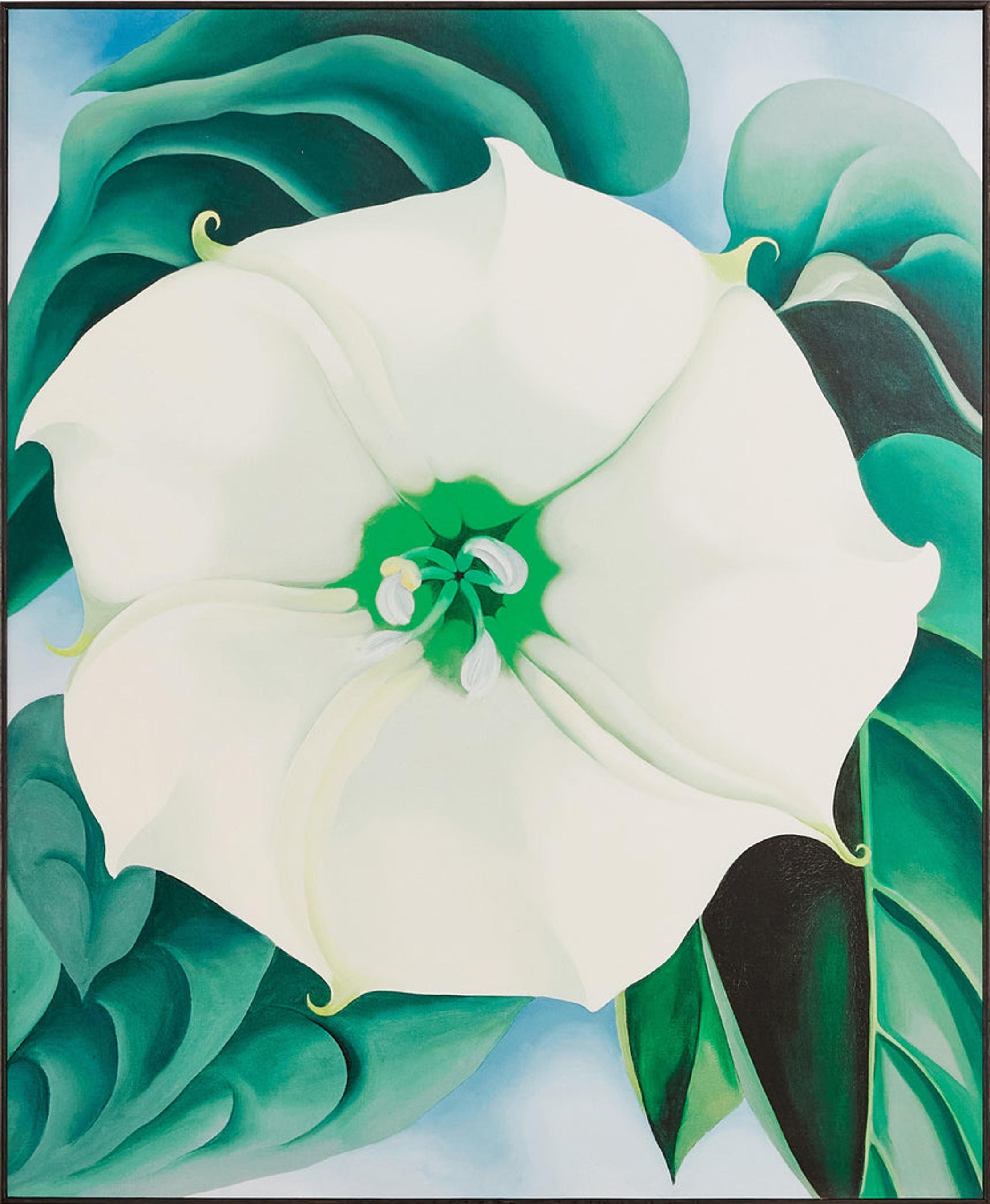 This print features a reproduction of Jimson Weed/White Flower No. 1 (1932) by Georgia O'Keeffe. It's mounted, laminated and floated in a 2"- deep black ash wood frame. Hanging kit included. It measures 20h x 17w x 2"d.