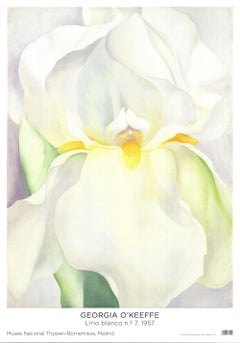 Georgia O'Keeffe 'White Lily' 