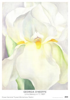 Georgia O'Keeffe 'White Lily'