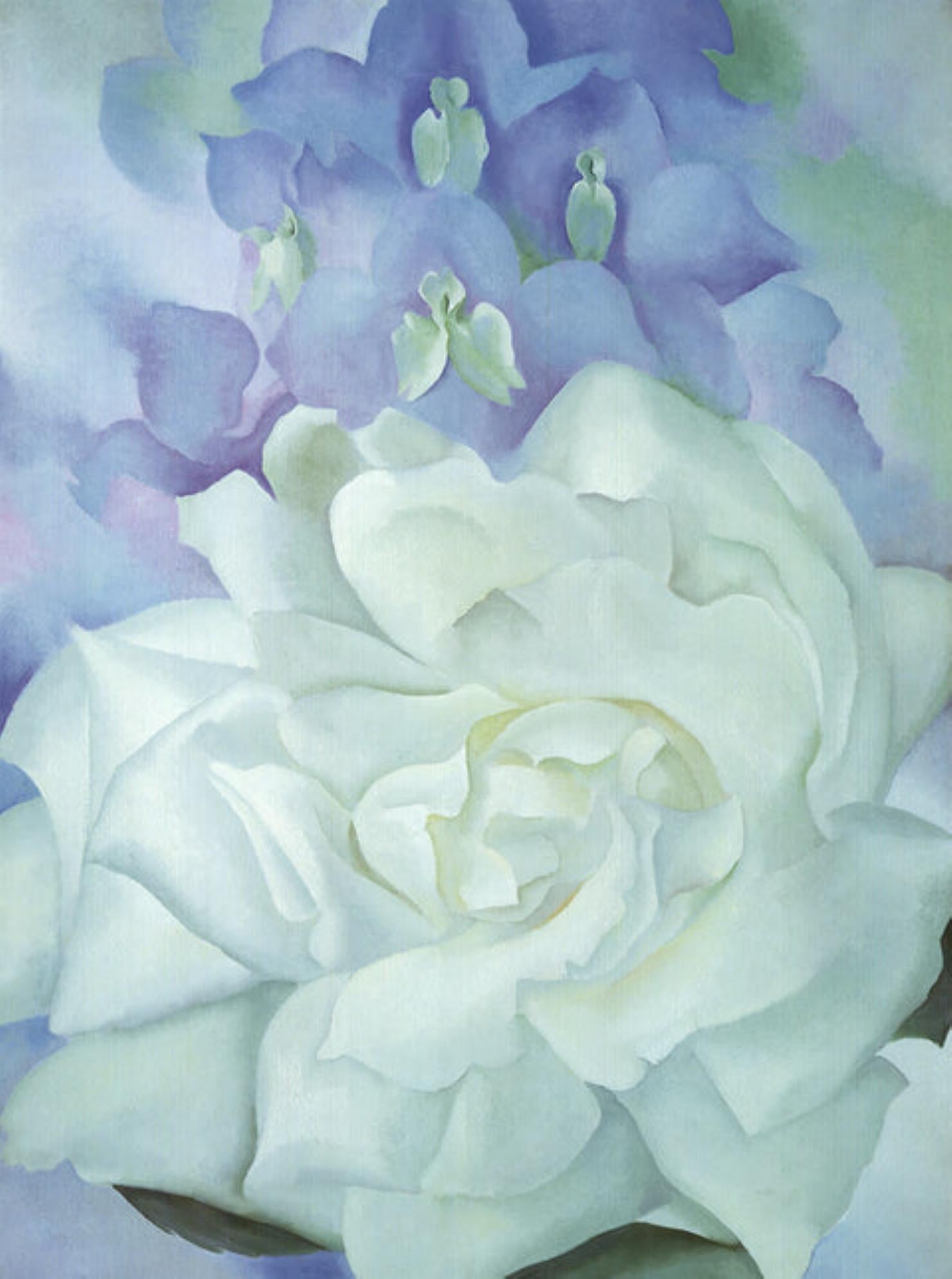 Rosa blanca con espuela de caballero n.º 2 Por Georgia O'Keeffe en venta 2