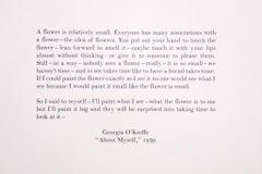 Livres de Georgia O'Keeffe, lot de 3
