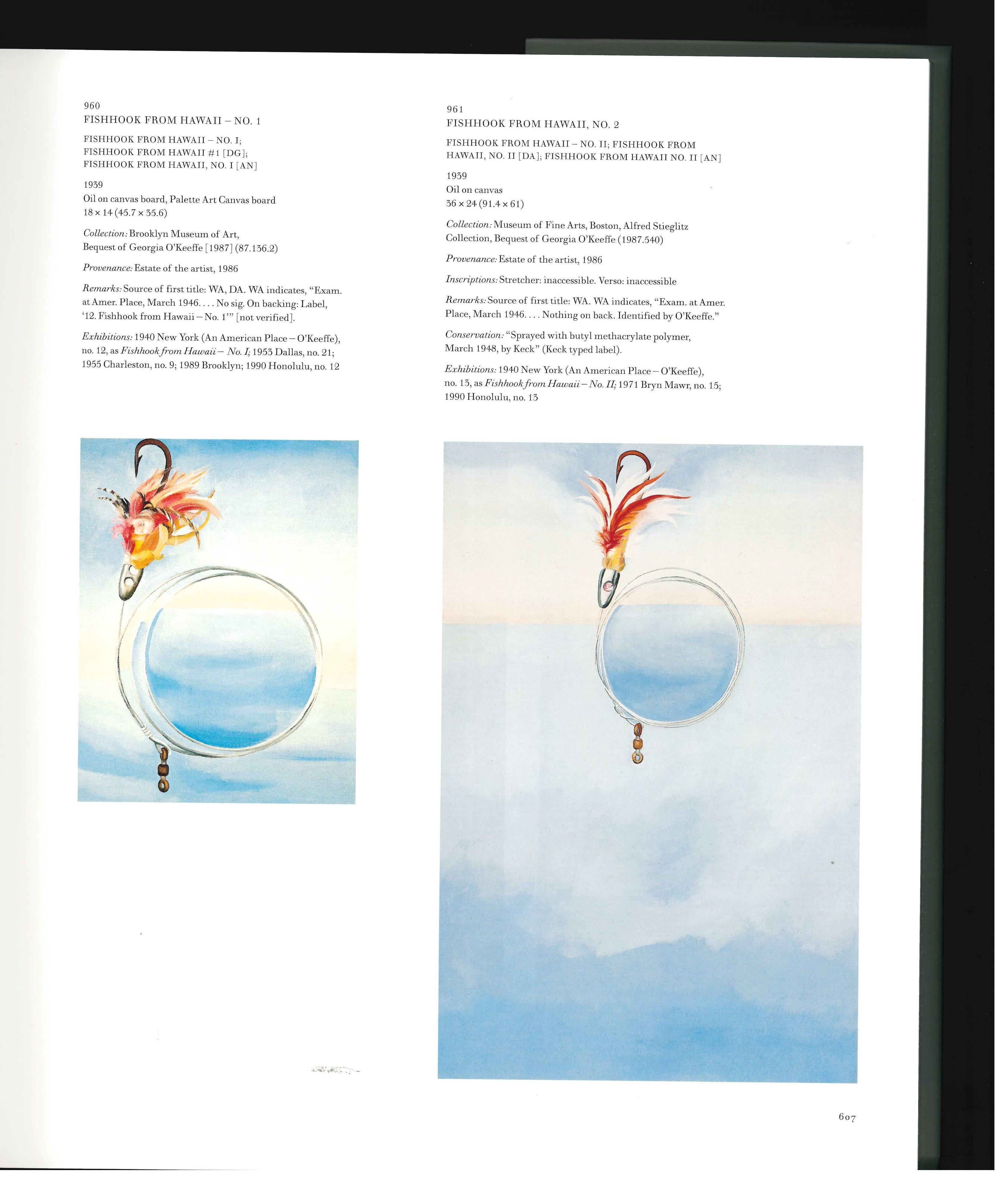 20th Century Georgia O'Keeffe: Catalogue Raisonne by Barbara Buhler Lynes (Books) For Sale