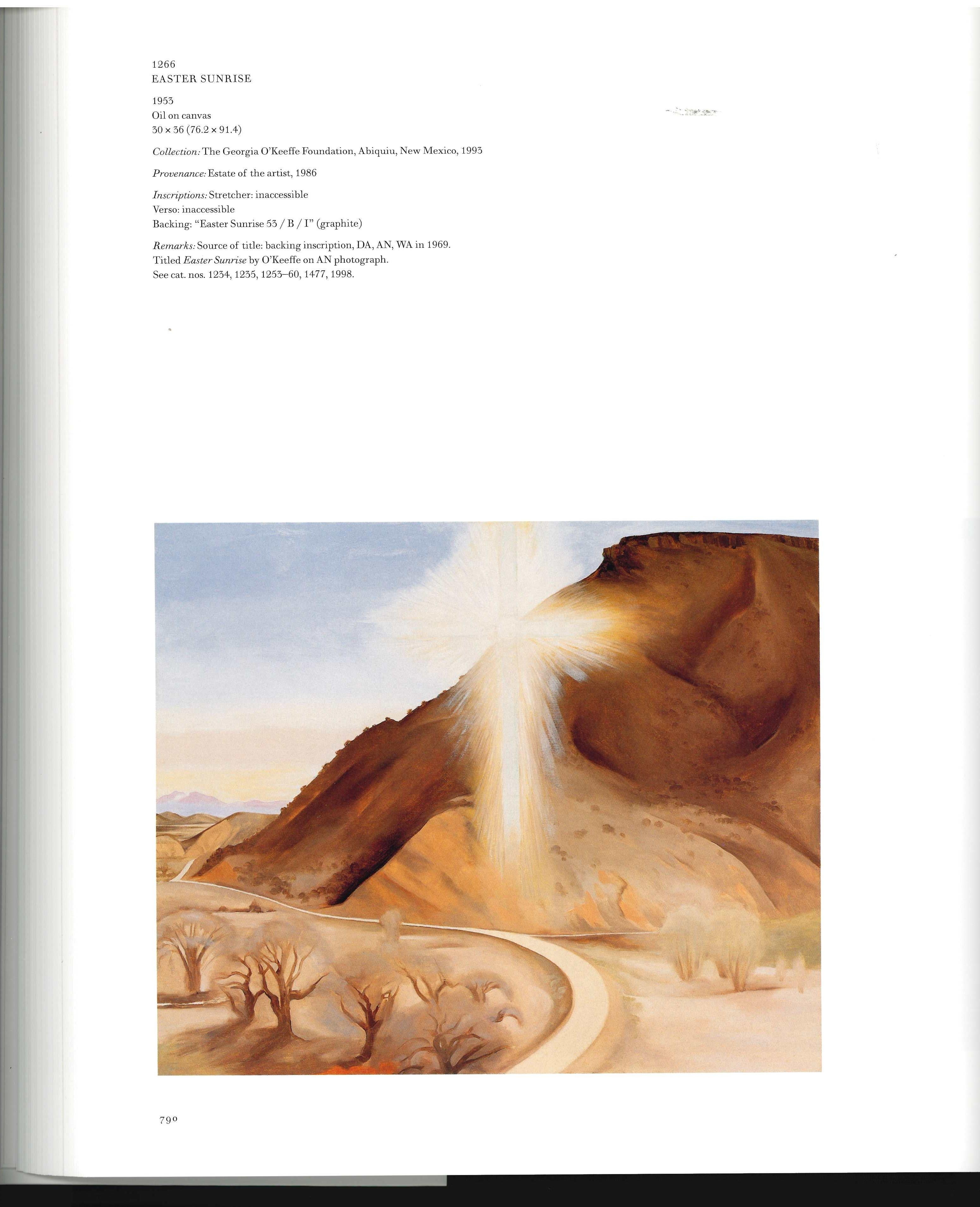 Georgia O'Keeffe: Catalogue Raisonne by Barbara Buhler Lynes (Books) For Sale 1