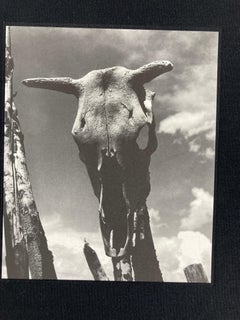 Georgia O'Keeffe The Artist's Landscape by Todd Webb