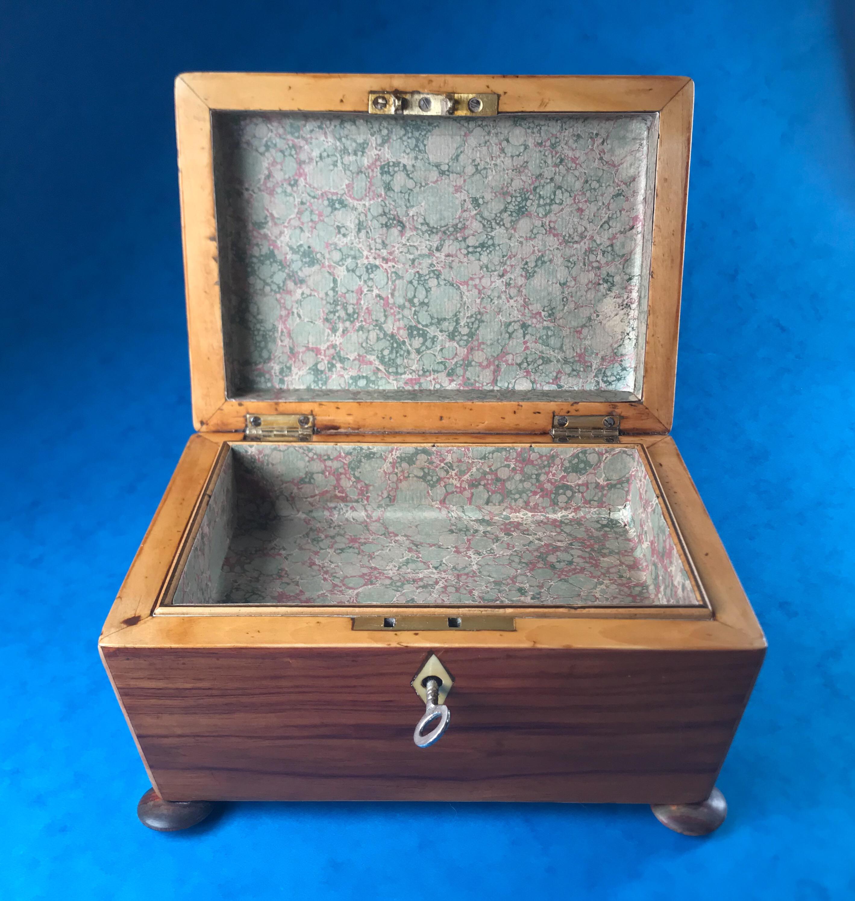 Georgian 1820 Harewood, Ebony and Boxwood Inlaid Tulipwood Box 4