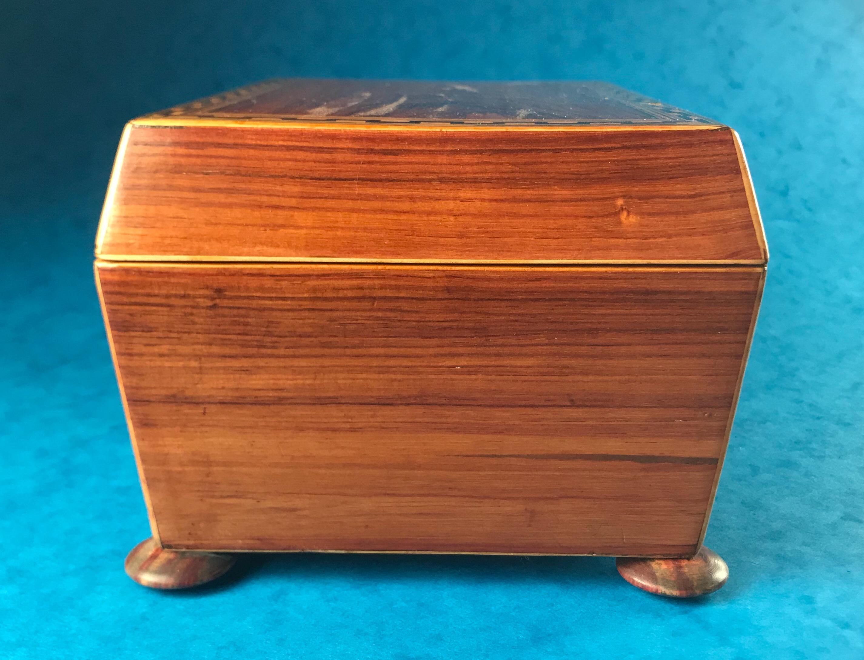 19th Century Georgian 1820 Harewood, Ebony and Boxwood Inlaid Tulipwood Box