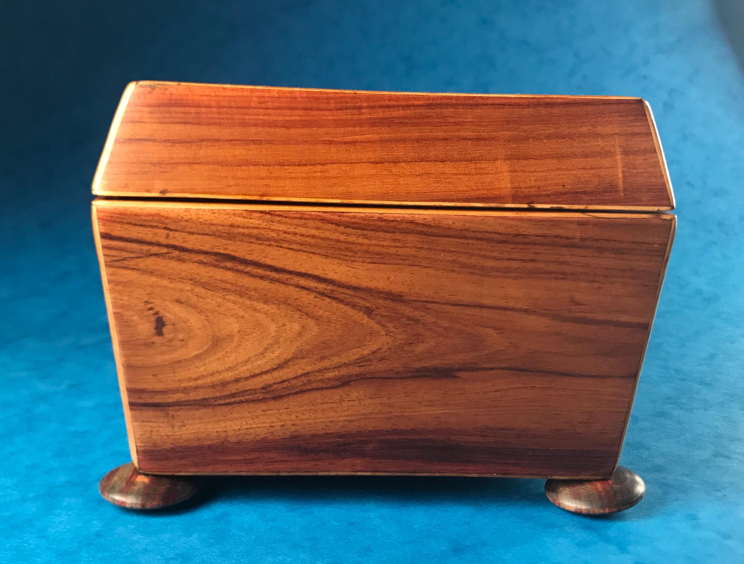 Georgian 1820 Harewood, Ebony and Boxwood Inlaid Tulipwood Box 2