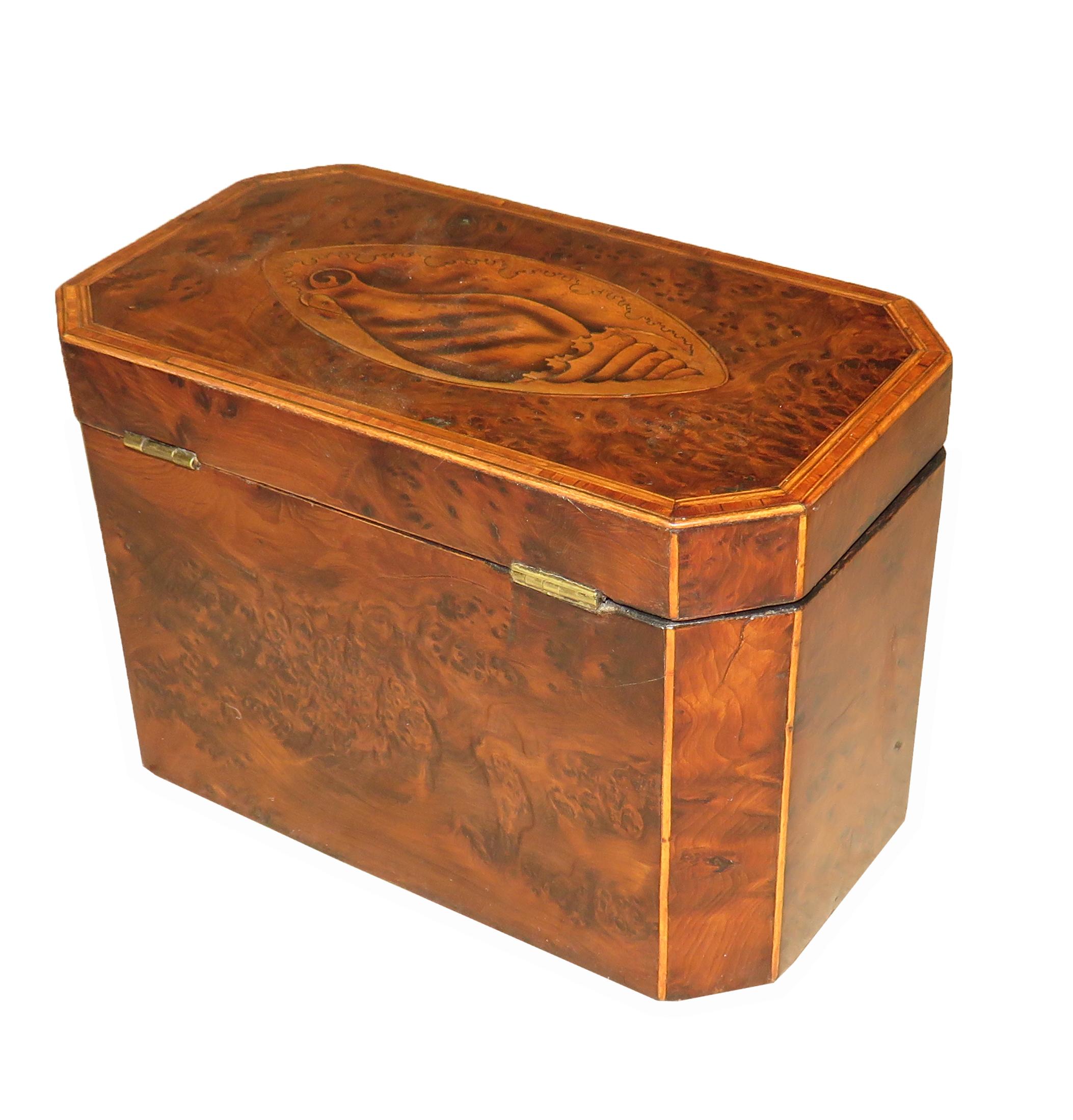 English Georgian 18th Century Burr Yew Wood Octagonal Tea Caddy