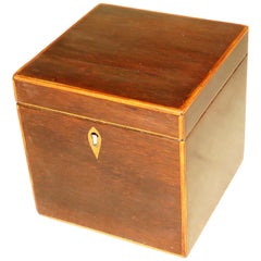 Caja de té cuadrada georgiana de palisandro del siglo XVIII