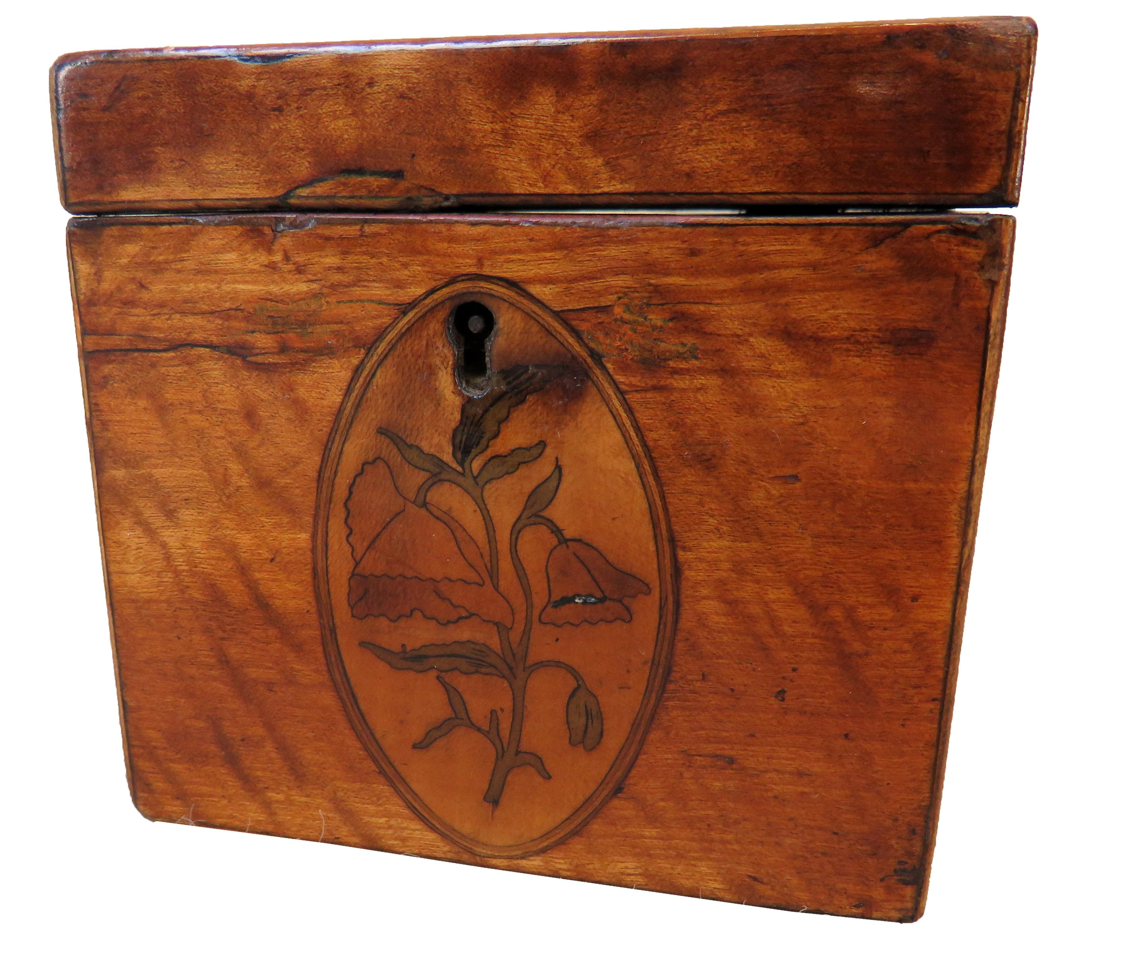 tea caddy for sale