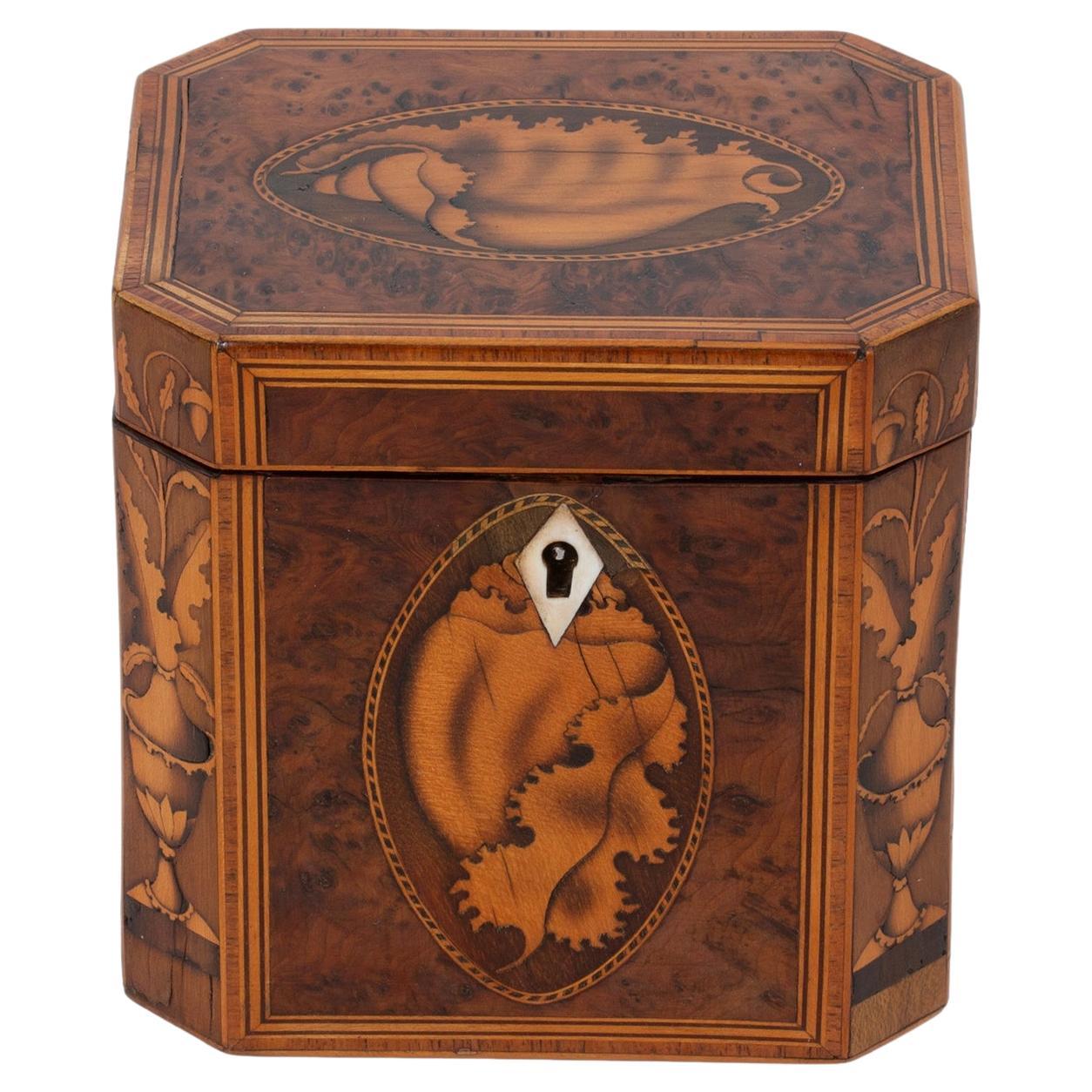 Georgian Antique Burr Yew Canted Corner Tea Caddy