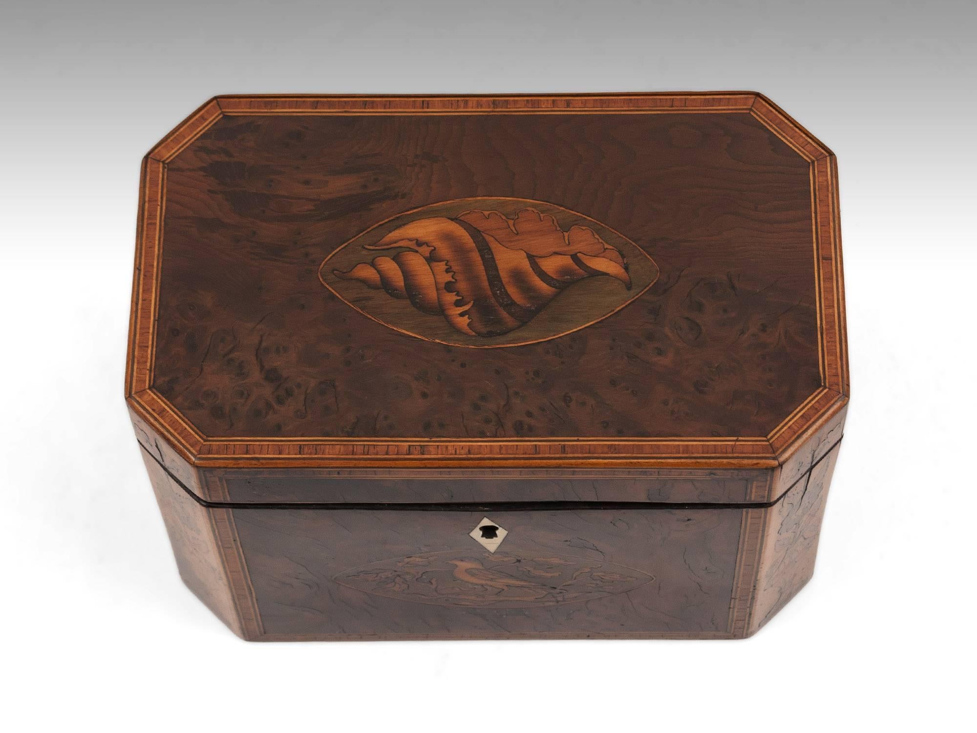 Antique burr yew tea caddy with an inlaid conch shell to the top, a bird surrounded by oak leaves on the front with a kite shaped bone escutcheon and its cants inlaid with tea plants. 

This fabulous Georgian inlaid tea caddy has two burr yew