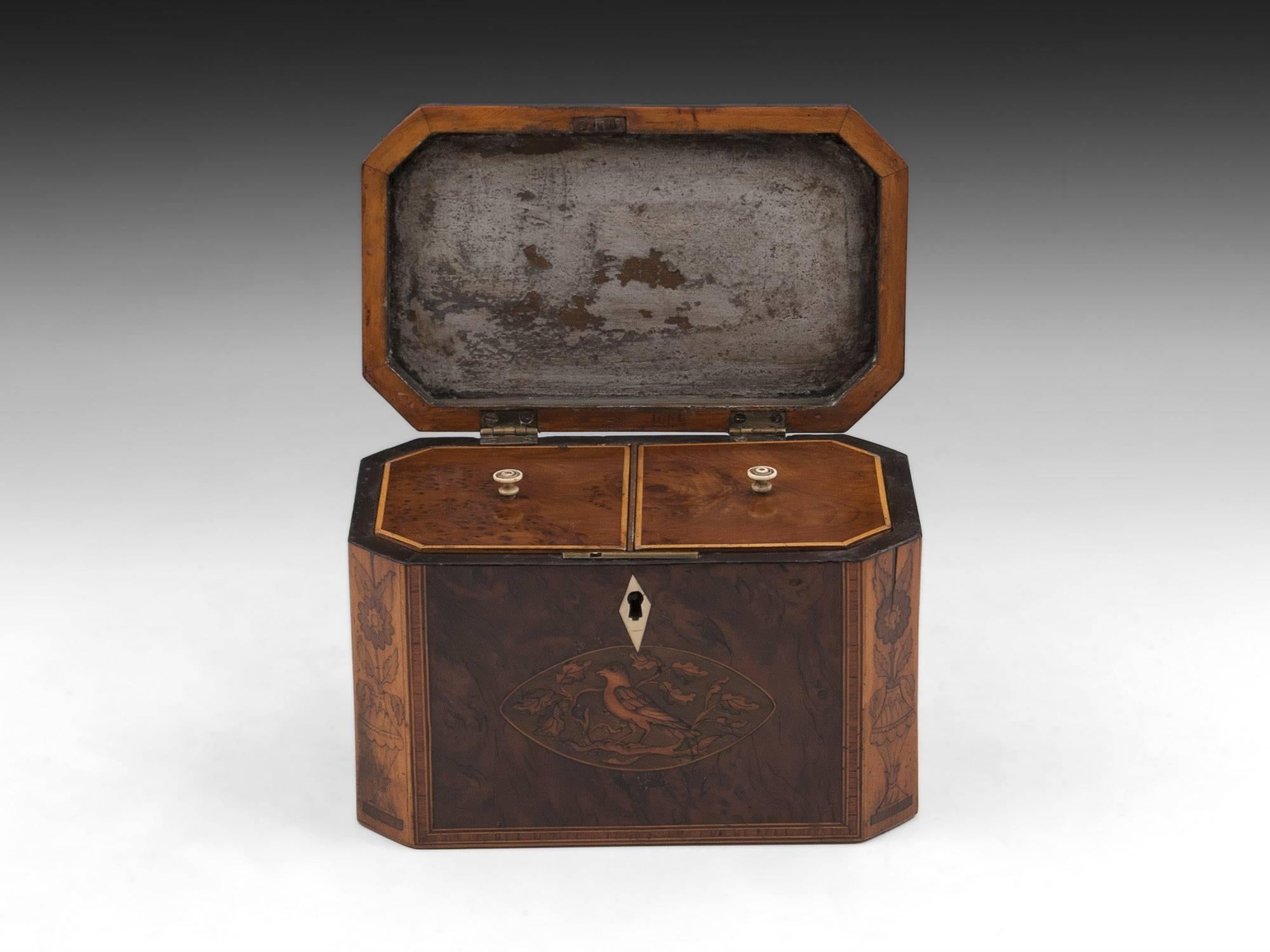 18th Century and Earlier Georgian Antique Burr Yew Conch Shell Tea Caddy, 18th Century For Sale