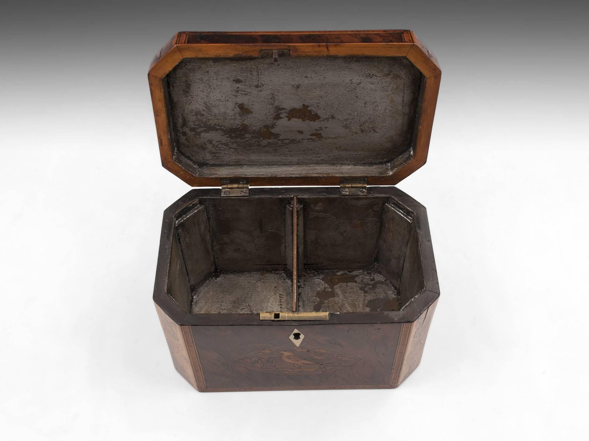 Georgian Antique Burr Yew Conch Shell Tea Caddy, 18th Century For Sale 4