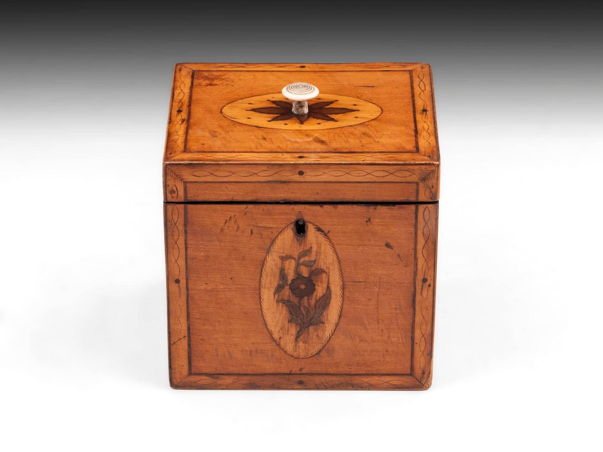 Antique Satinwood tea caddy with decorative engraved penwork borders and floral inlays on all sides. With turned bone handle to the lid. 

The Georgian single tea caddy interior features a matched bone handle mahogany lid and contains 95% of its