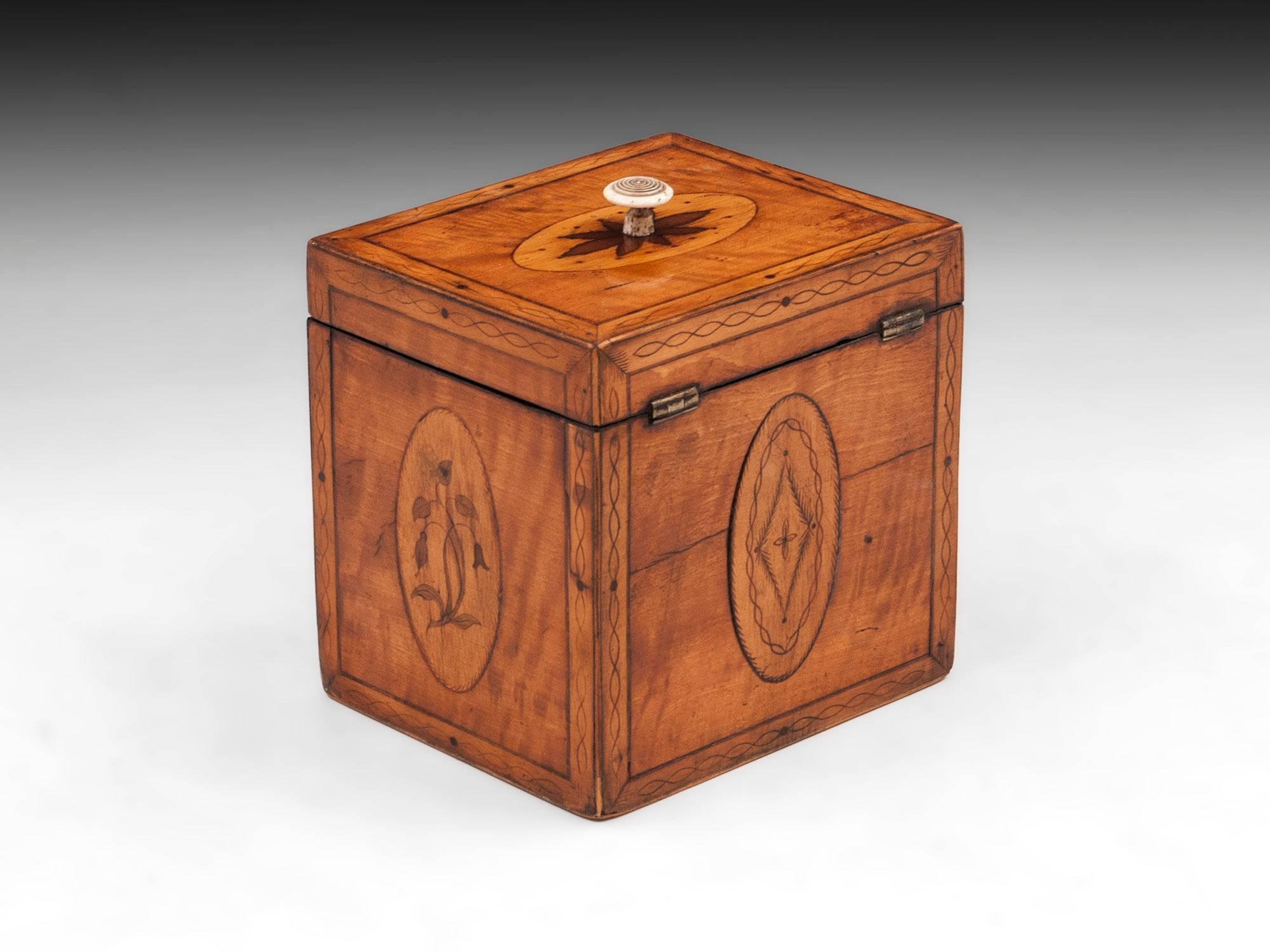 Georgian Antique Single Satinwood Tea Caddy, 18th Century In Good Condition For Sale In Northampton, United Kingdom