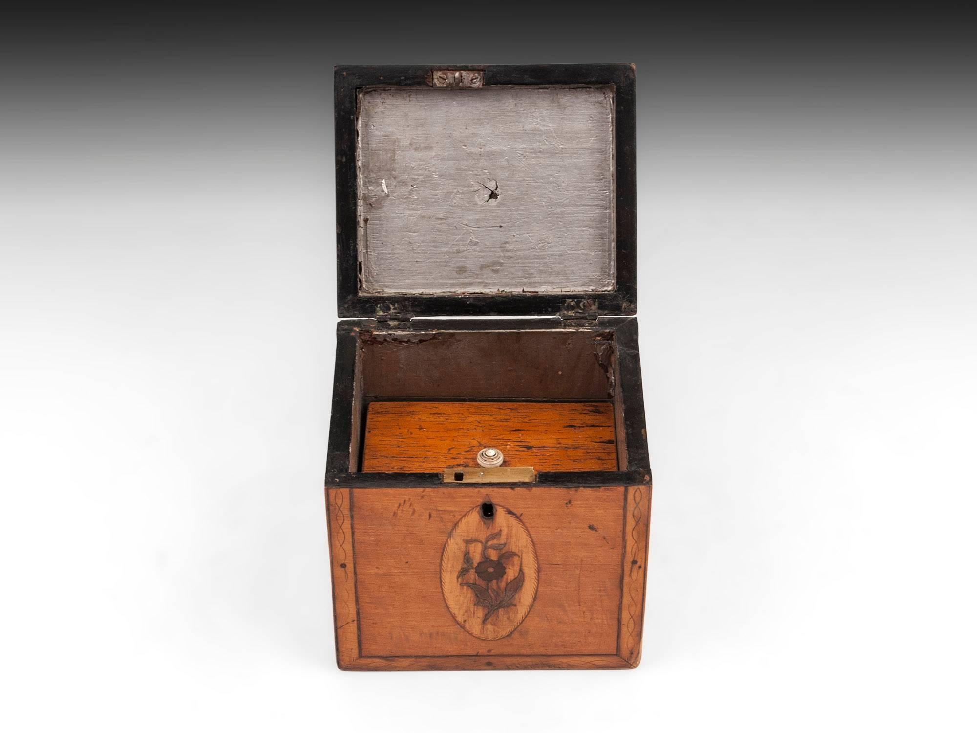 18th Century and Earlier Georgian Antique Single Satinwood Tea Caddy, 18th Century For Sale