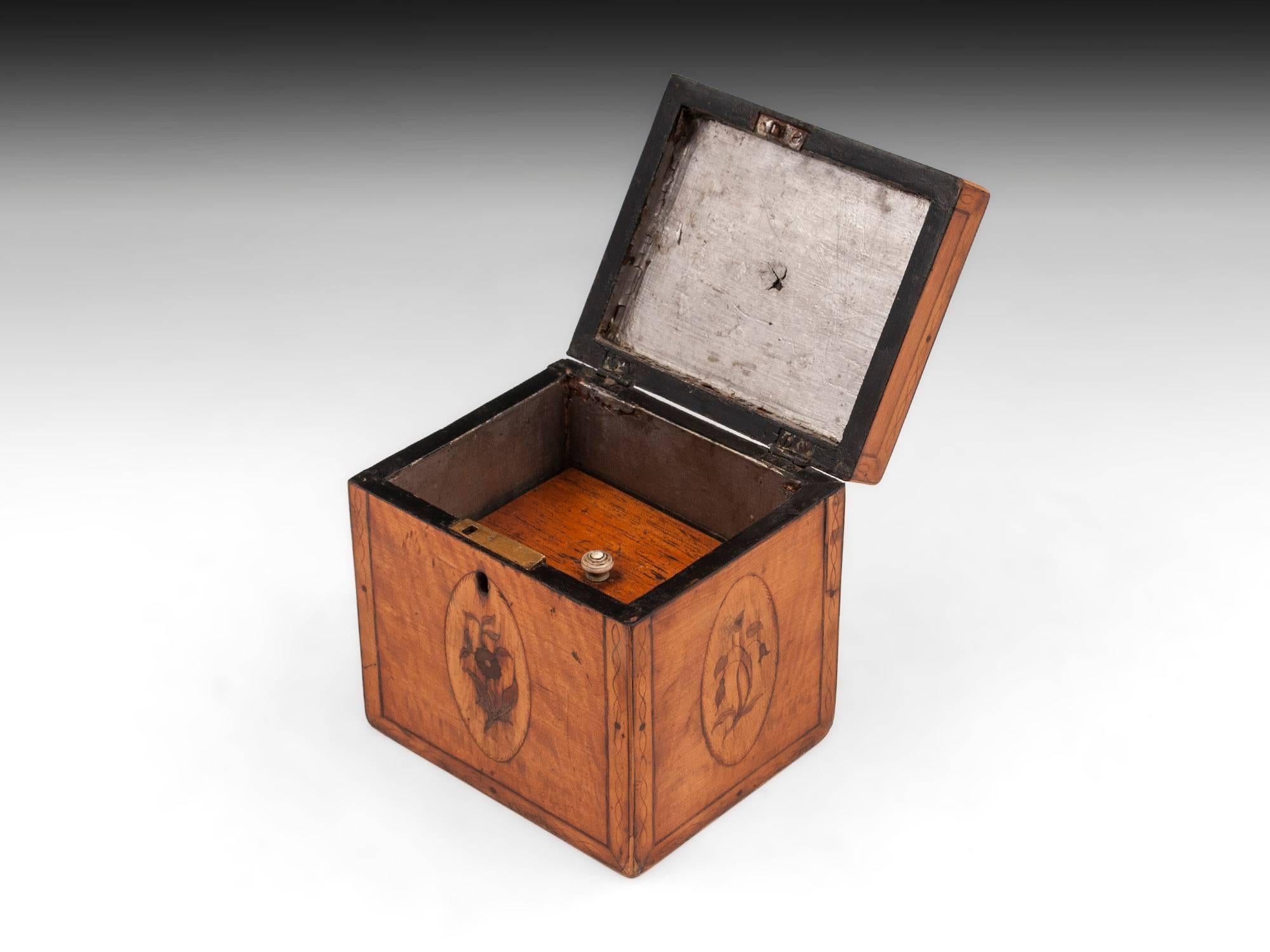 Bone Georgian Antique Single Satinwood Tea Caddy, 18th Century For Sale