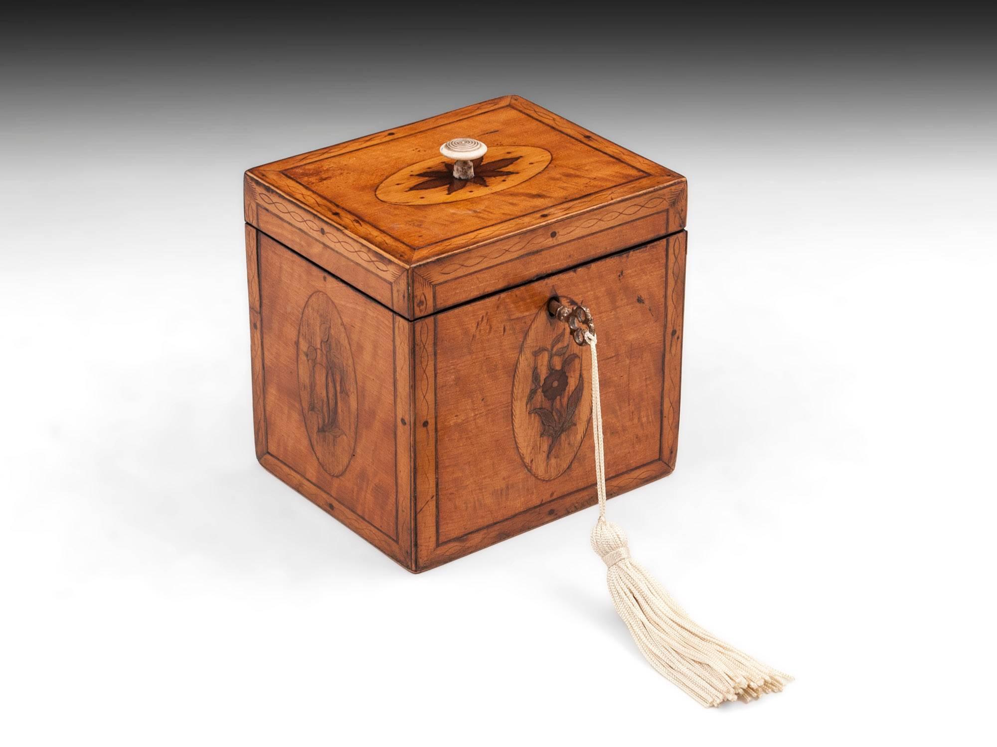 Georgian Antique Single Satinwood Tea Caddy, 18th Century For Sale 2