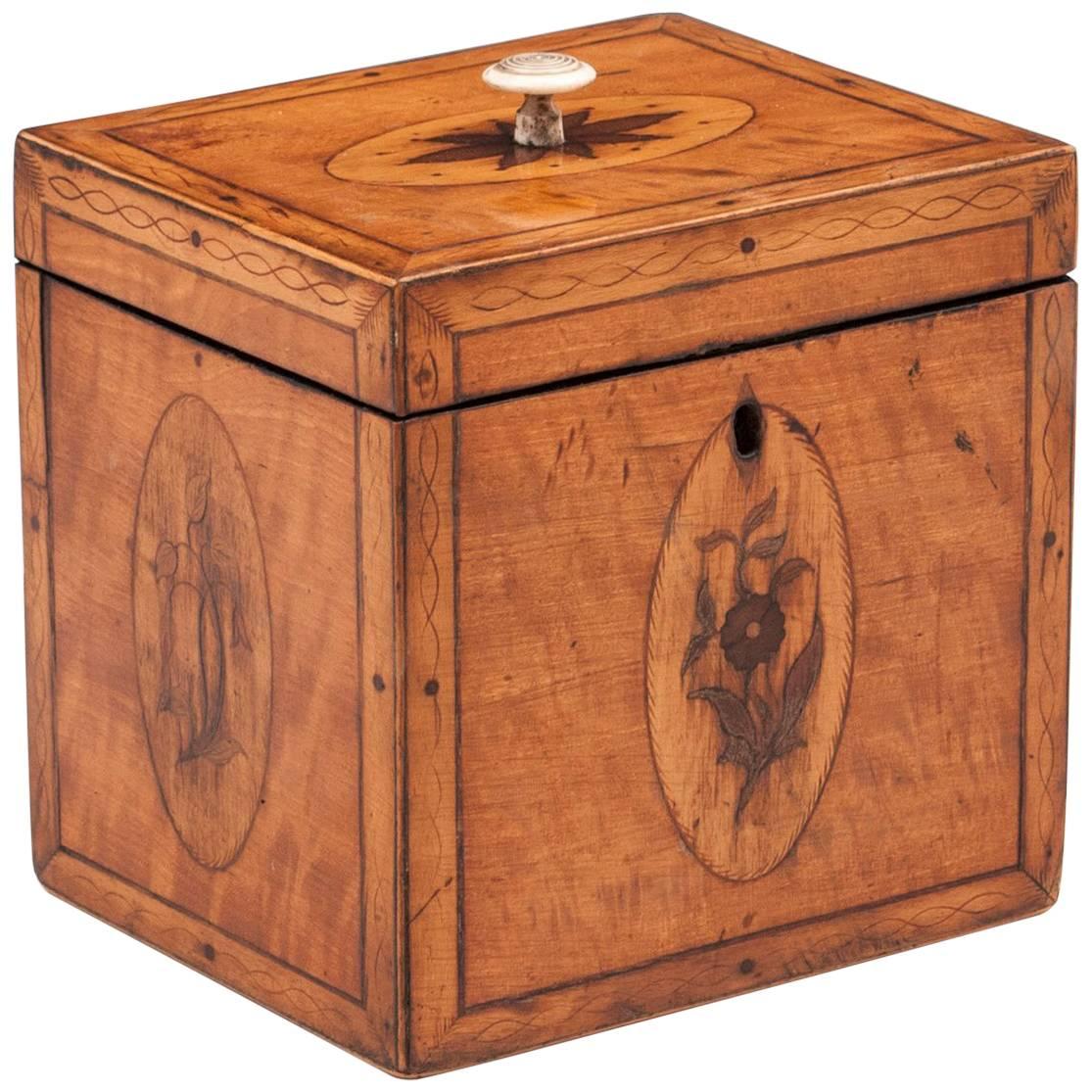 Georgian Antique Single Satinwood Tea Caddy, 18th Century For Sale