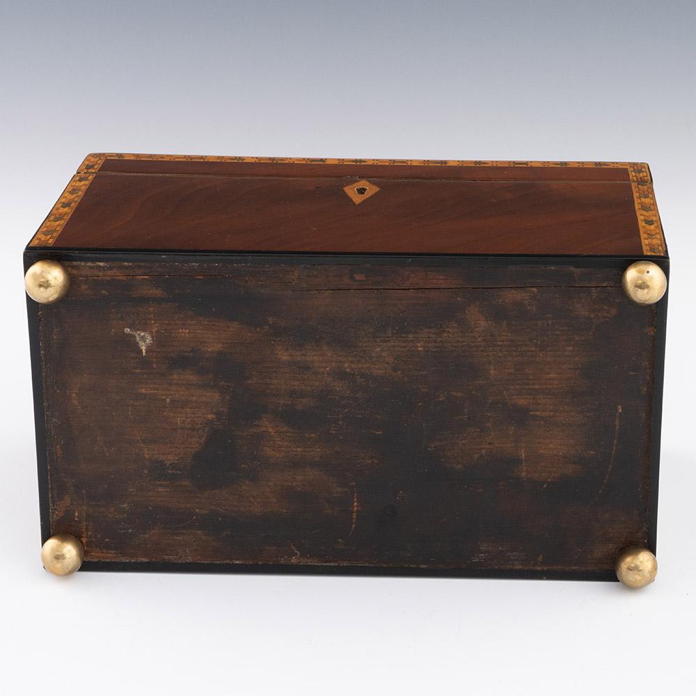 Georgian Antique Tea Caddy with Conch Decoration c1820 3