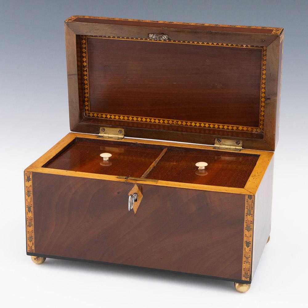 British Georgian Antique Tea Caddy with Conch Decoration c1820