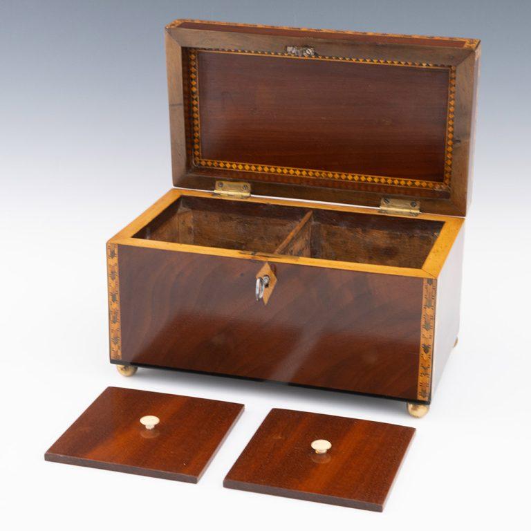 Georgian Antique Tea Caddy with Conch Decoration c1820 In Good Condition In Tunbridge Wells, GB