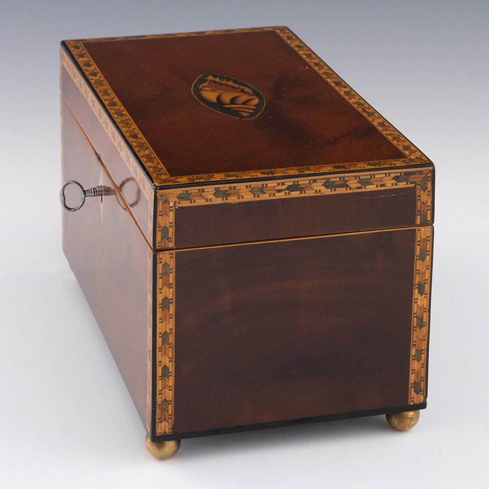 Wood Georgian Antique Tea Caddy with Conch Decoration c1820