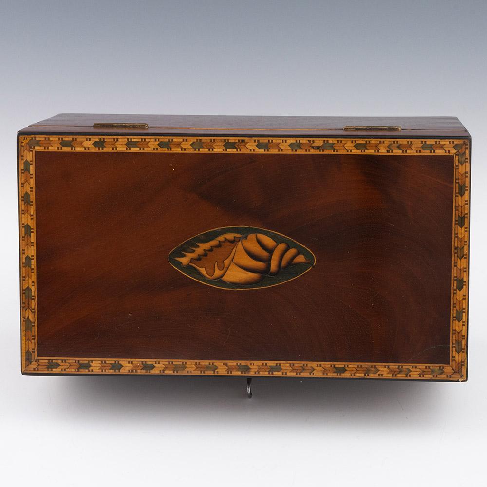 Georgian Antique Tea Caddy with Conch Decoration c1820 2