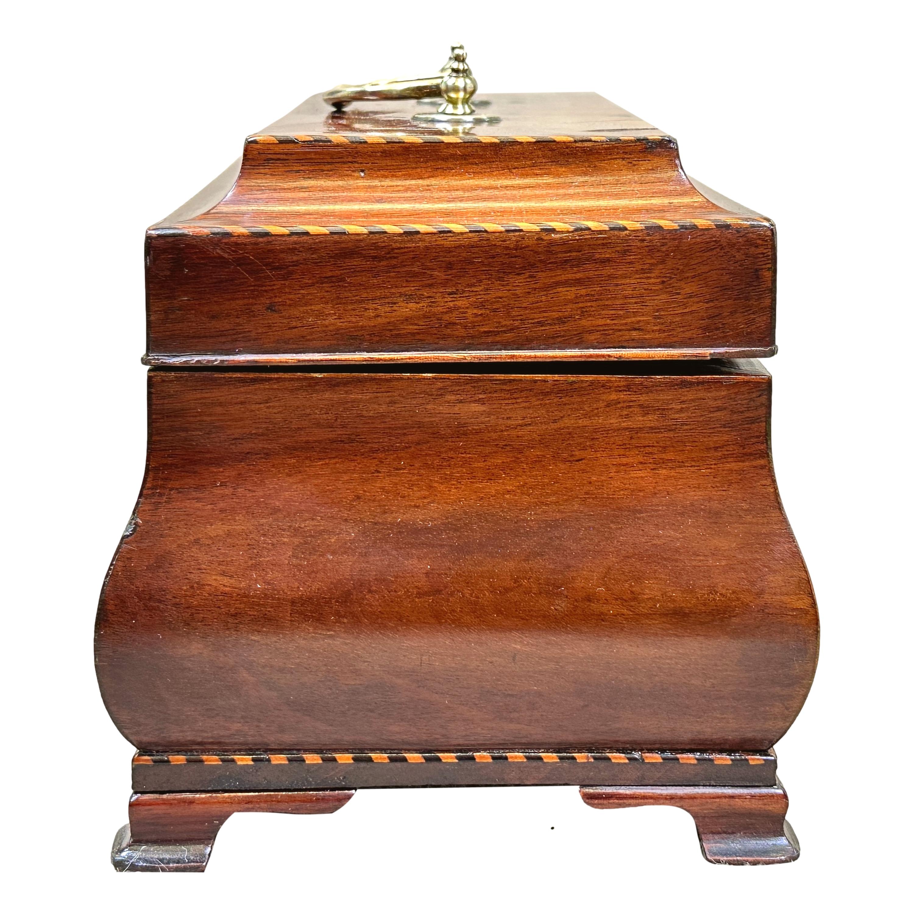 Attraente scatola da tè inglese del periodo di Giorgio III, 18° secolo, in mogano, a forma di pomo, con maniglia originale a collo di cigno in ottone, coperchio incernierato che racchiude divisioni e decorazioni a scacchiera su tutto il perimetro,