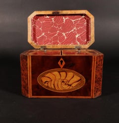 Georgian Burl Yew and Satinwood Octagonal Tea Caddy with Conch Shell Panels