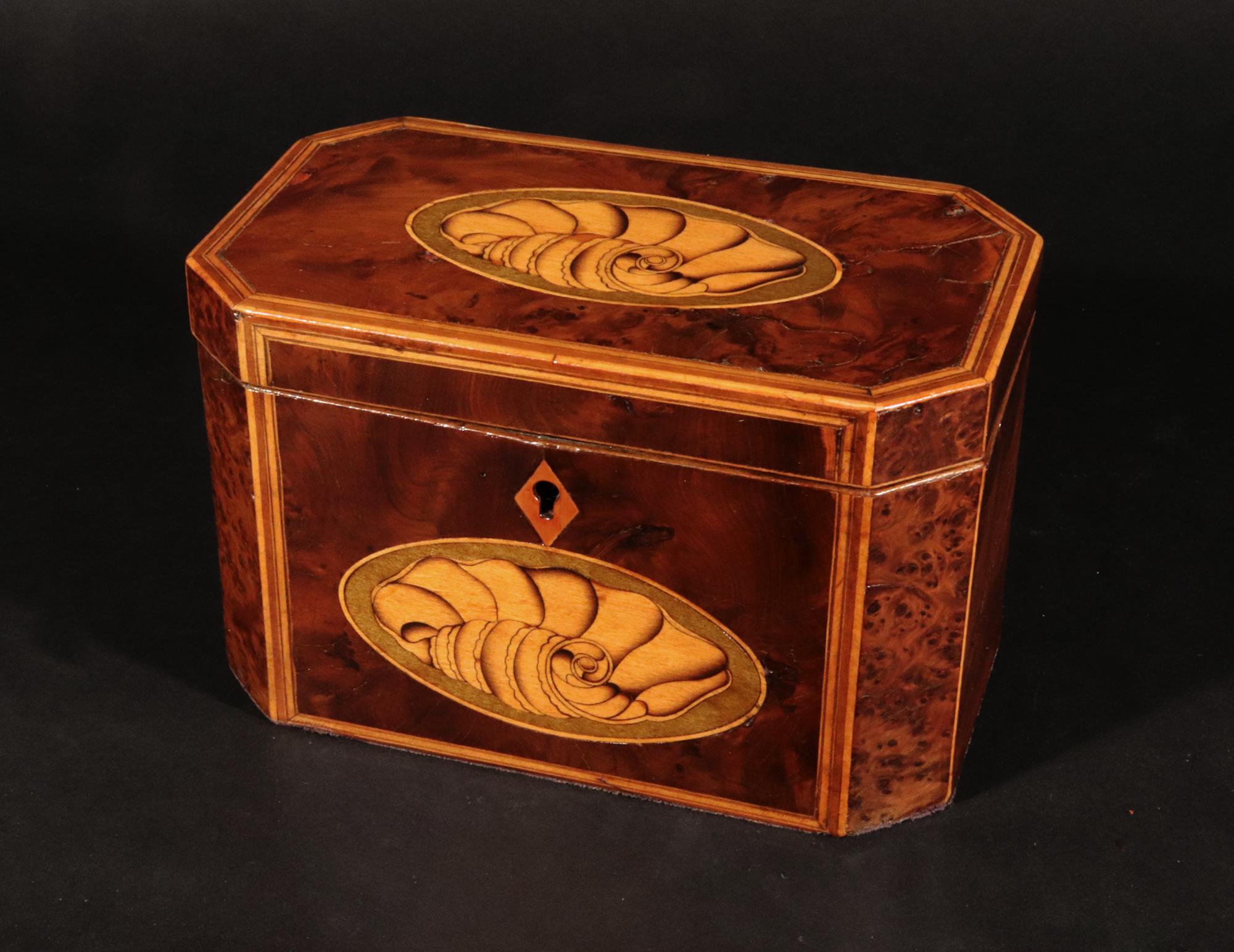 Georgian Burl Yew and Satinwood Octagonal Tea Caddy with Conch Shell Panels In Good Condition In Downingtown, PA