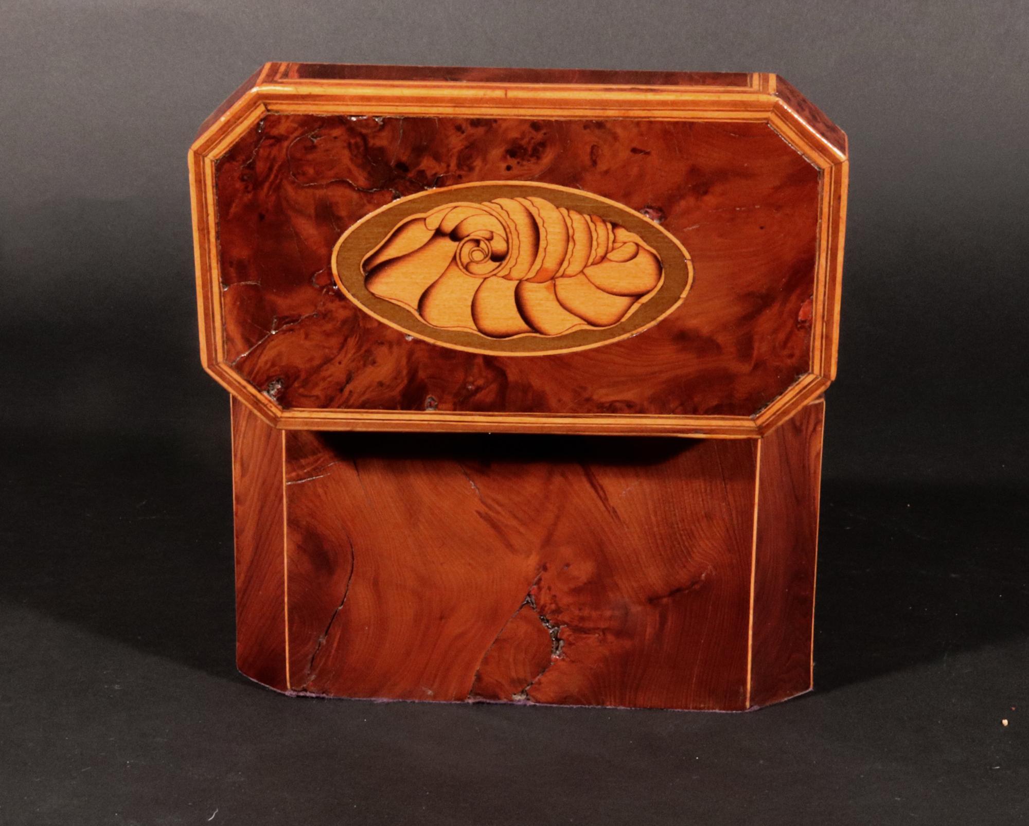 18th Century Georgian Burl Yew and Satinwood Octagonal Tea Caddy with Conch Shell Panels