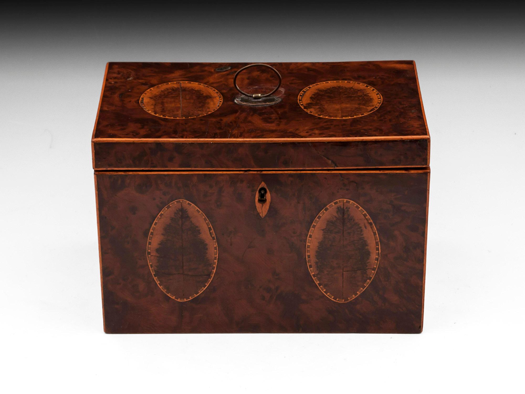 Burr Yew tea caddy with decorative book matched blackthorn oyster ovals on the top and front, the sides with beautiful figured blackthorns and the back kingwood which match the interior lids. The top has its original engraved Sheffield plated