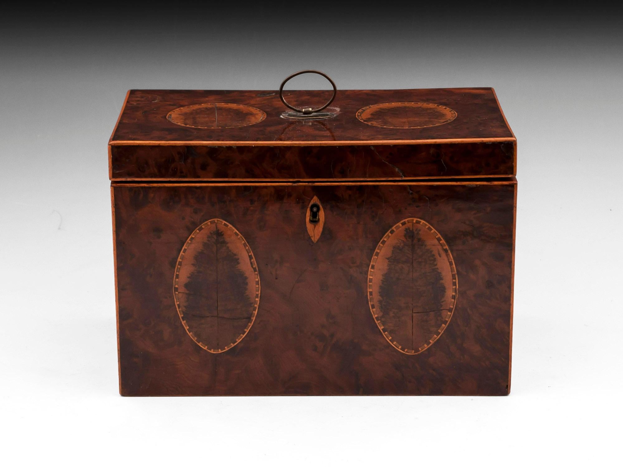 British Georgian Burr Yew Book Matched Blackthorn Oyster Tea Caddy For Sale