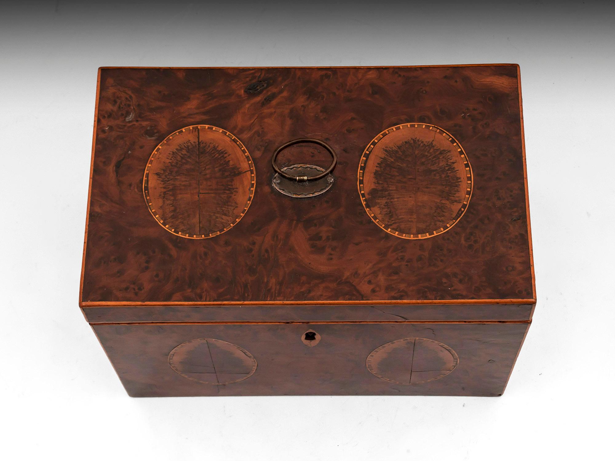 Georgian Burr Yew Book Matched Blackthorn Oyster Tea Caddy In Good Condition For Sale In Northampton, United Kingdom