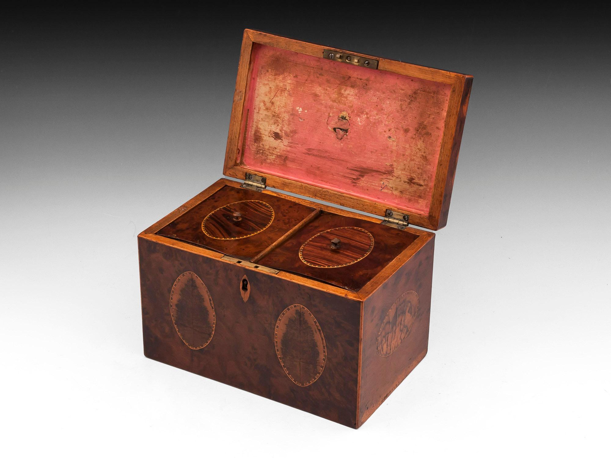 Georgian Burr Yew Book Matched Blackthorn Oyster Tea Caddy For Sale 2