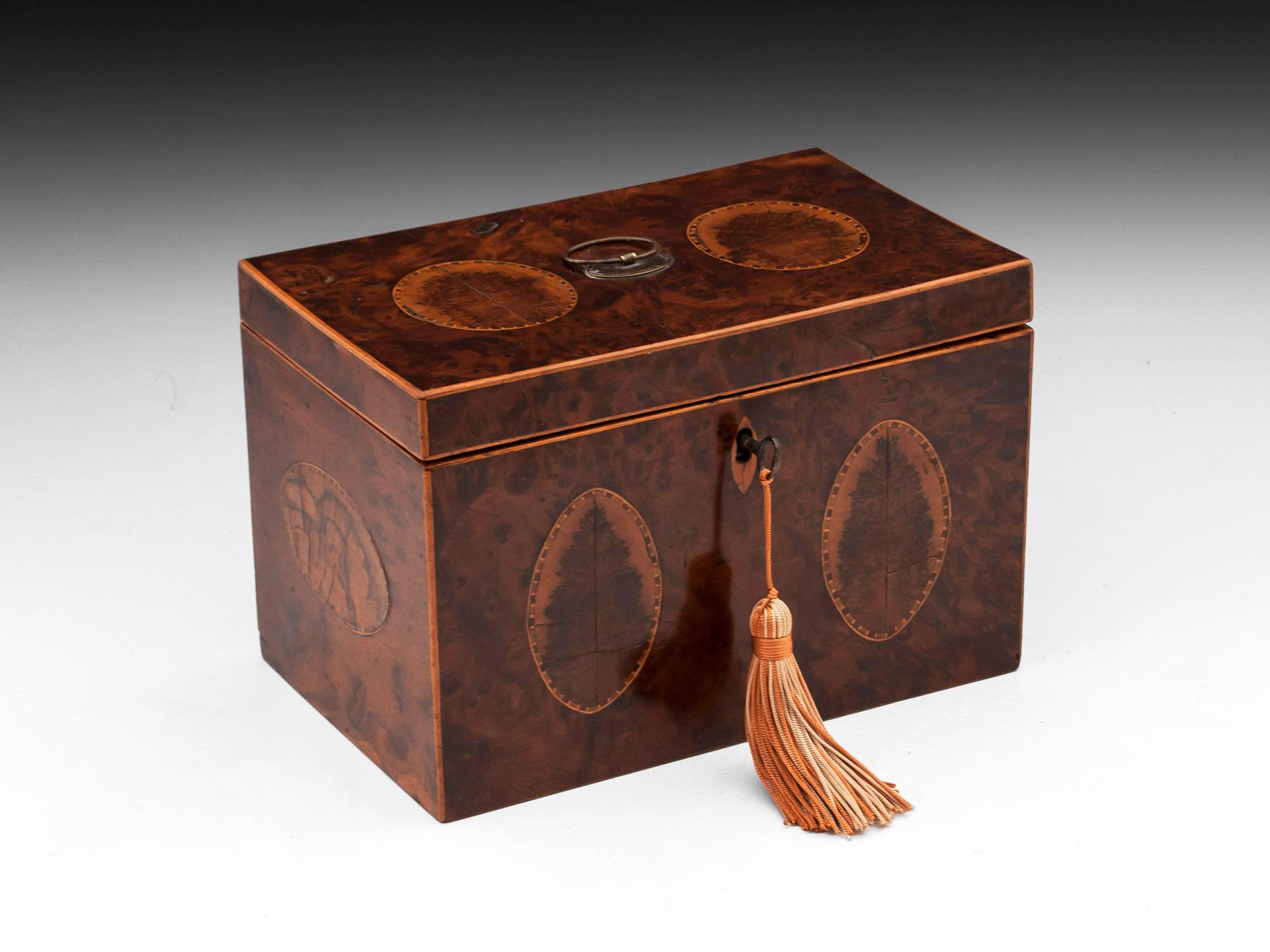 Georgian Burr Yew Book Matched Blackthorn Oyster Tea Caddy For Sale 4