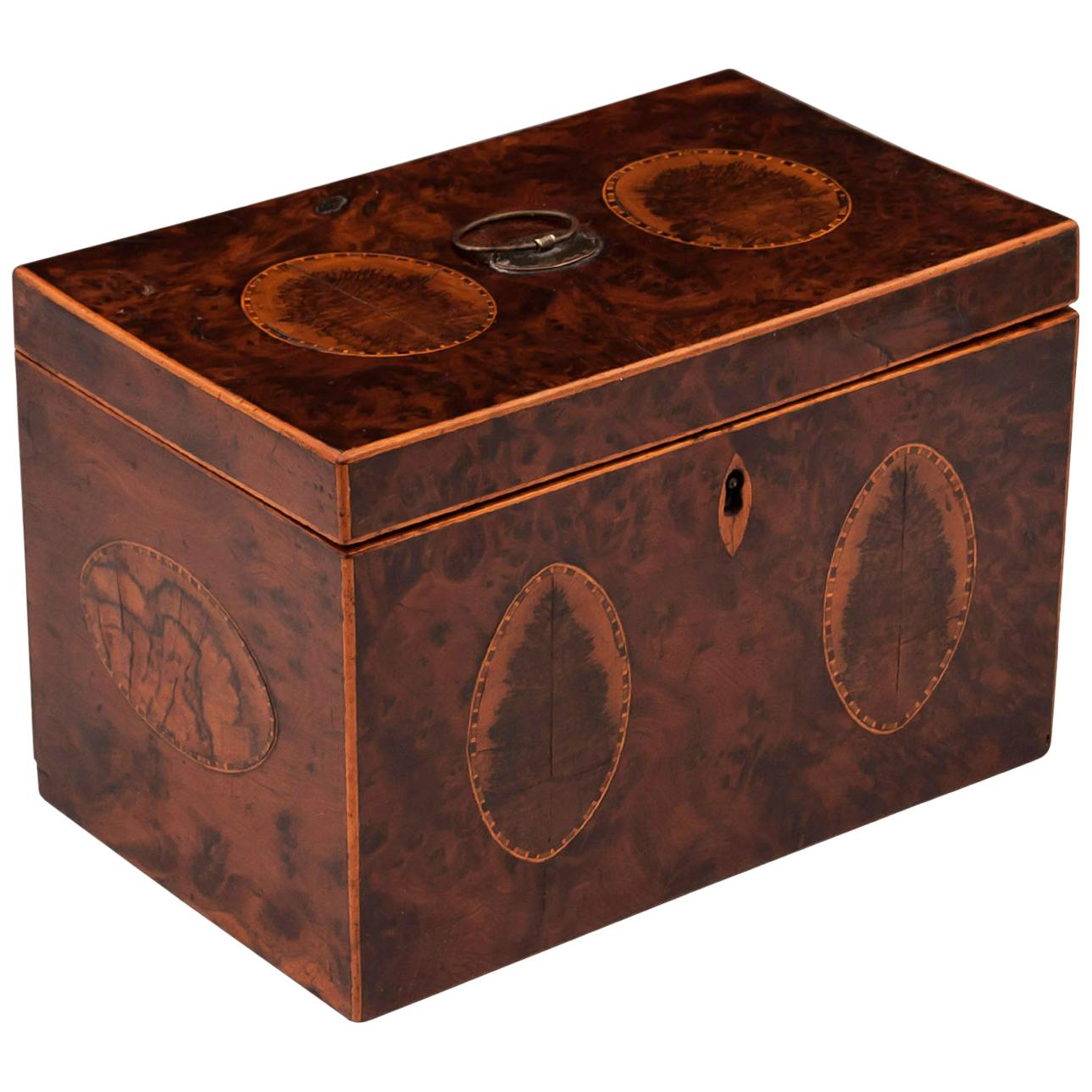 Georgian Burr Yew Book Matched Blackthorn Oyster Tea Caddy For Sale