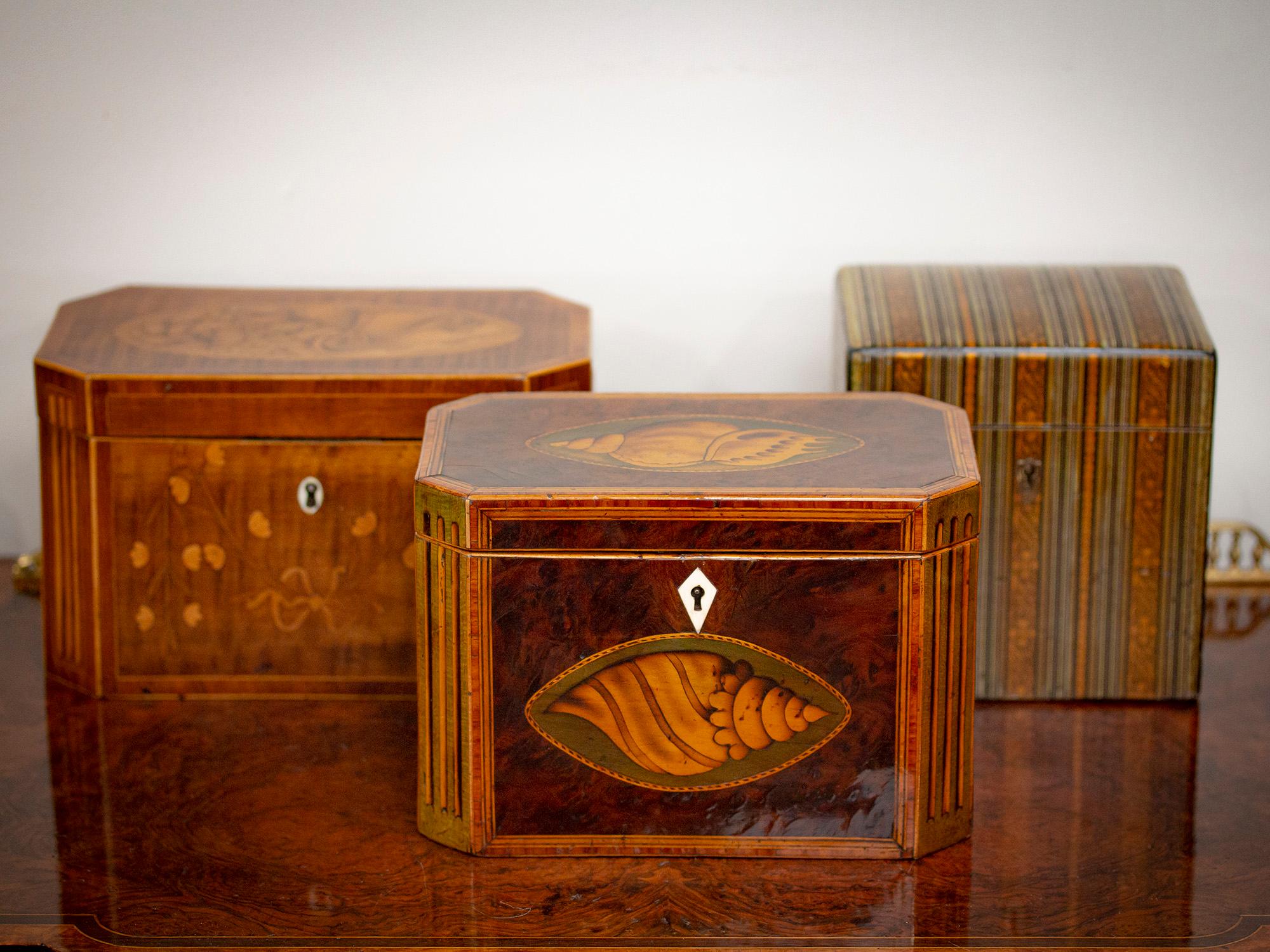 Inlaid with Twin Conch Shells

From our Tea Caddy collection, we are delighted to offer this beautiful antique Georgian Burr Yew wood Tea Caddy. The Tea Caddy of rectangular form with fluted green cants and two central oval inlaid conch shells