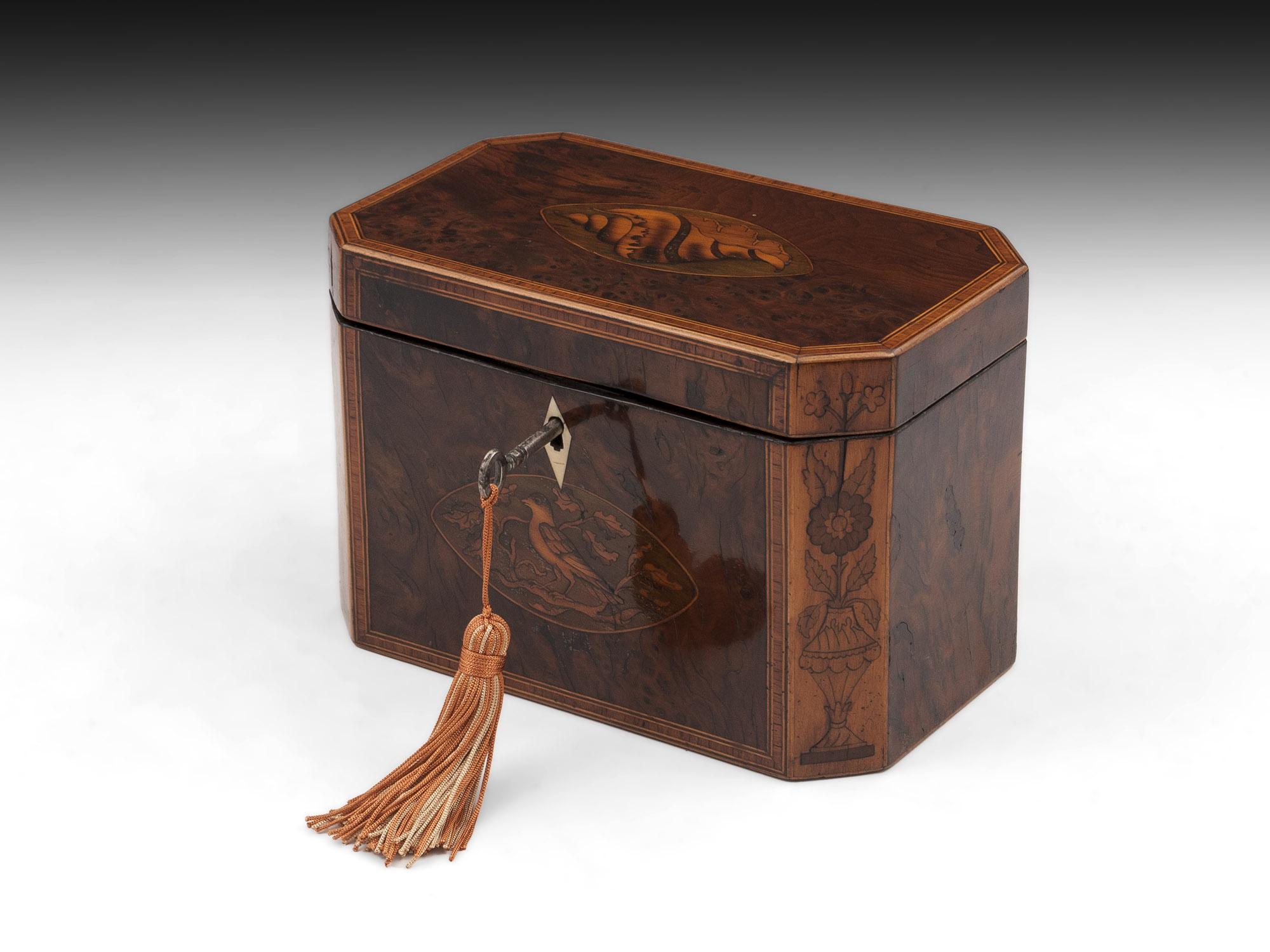 Georgian Burr Yew Tea Caddy For Sale 2