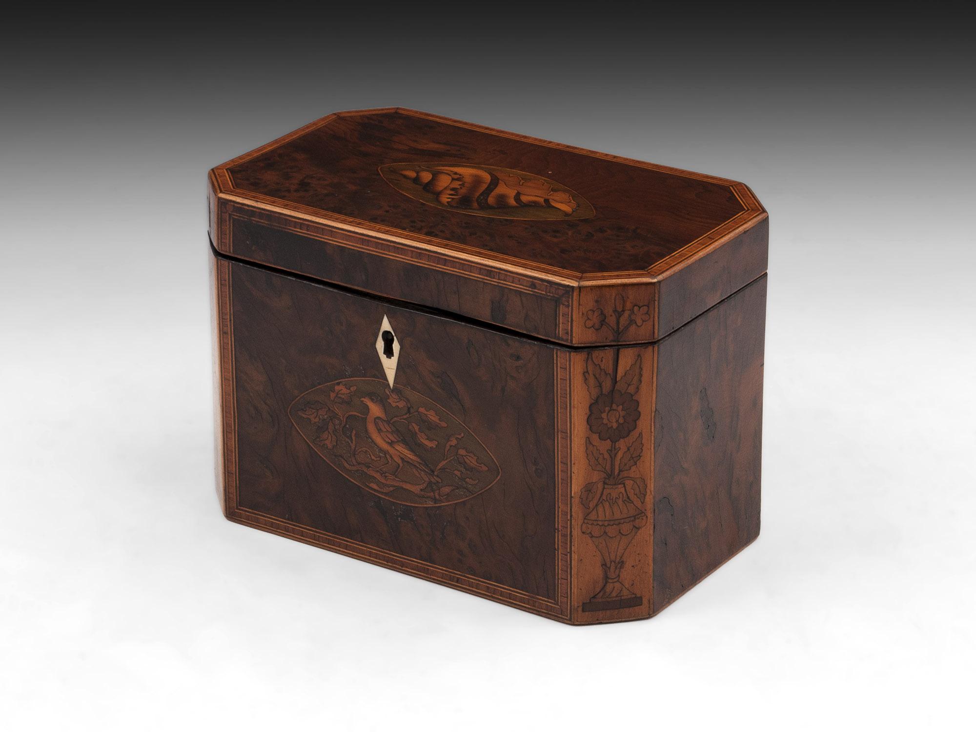 George III Georgian Burr Yew Tea Caddy For Sale