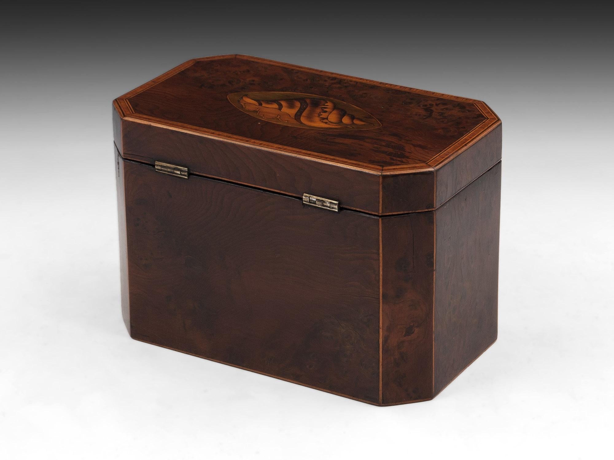 British Georgian Burr Yew Tea Caddy For Sale